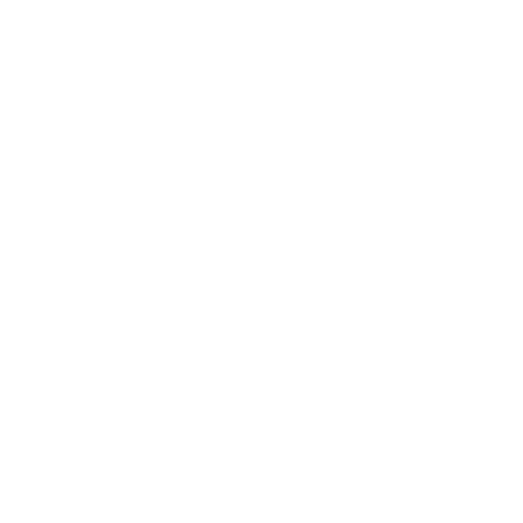 IJ Foundation